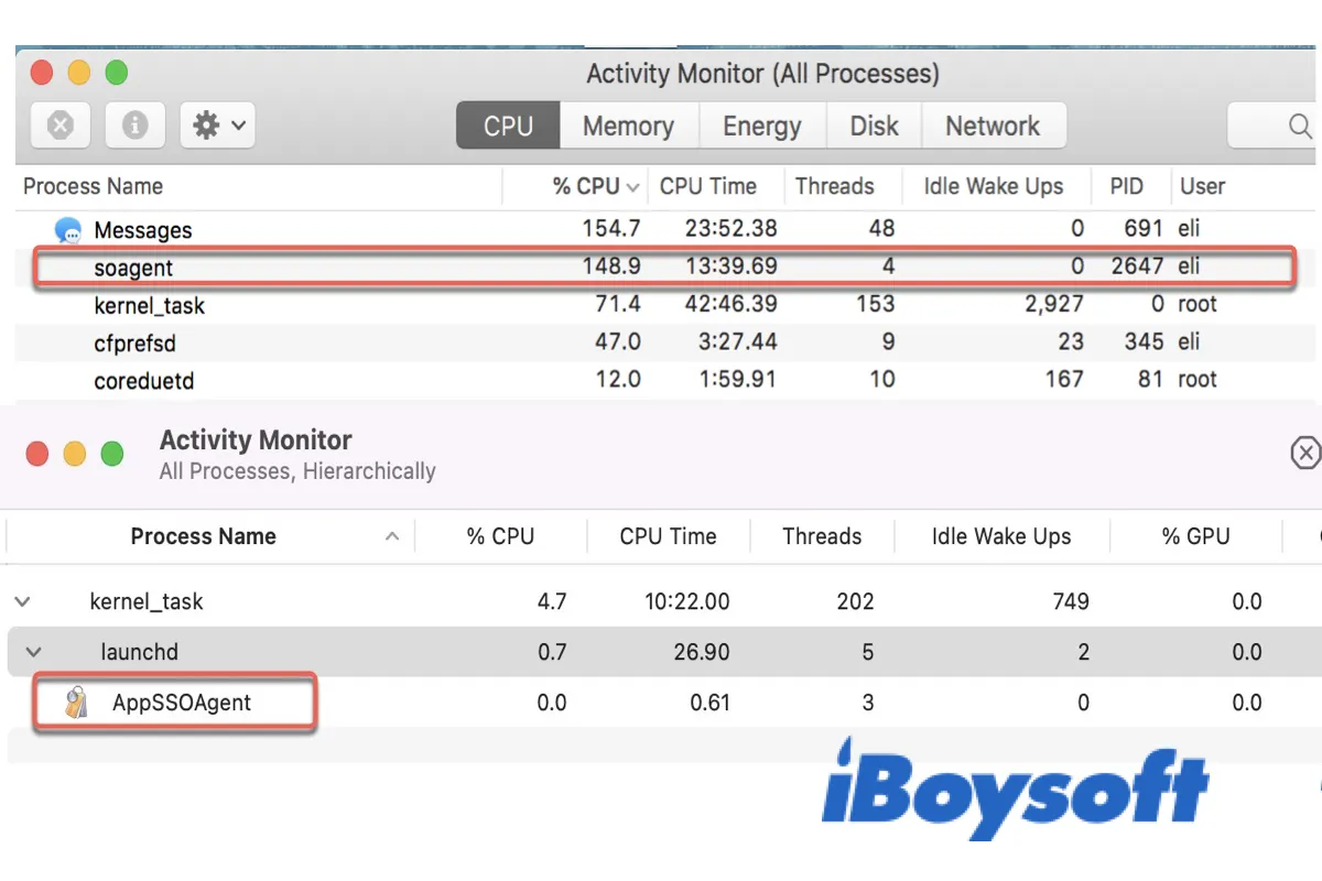 The AppSSOAgent and soagent processes in Activity Monitor