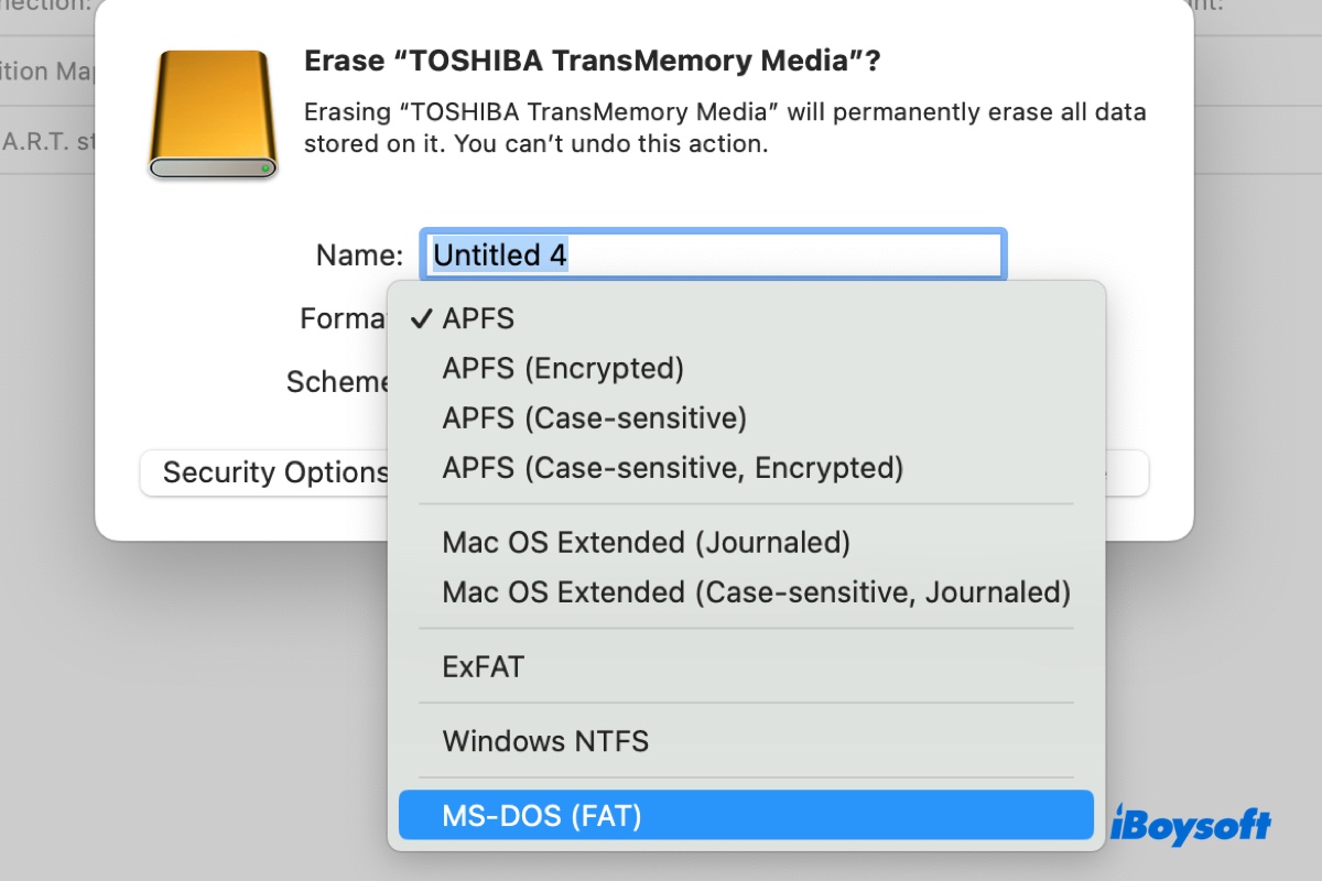 MS DOS FAT on Mac