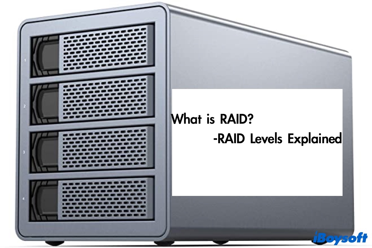 what is raid