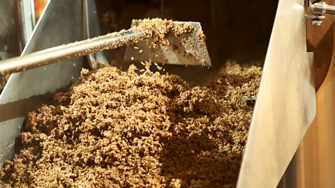 A mound of brewers' spent grain being shovelled (Credit: Getty Images)