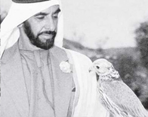 Year of Zayed