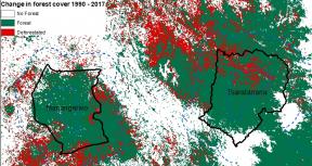 change in forest cover of the land surface in Madagascar from 1990 to 2017. 