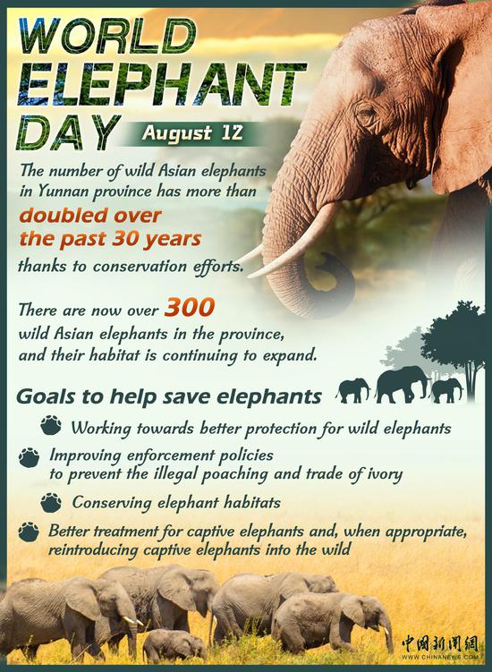 World Elephant Day