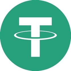 Bridged Tether (Linea) logo