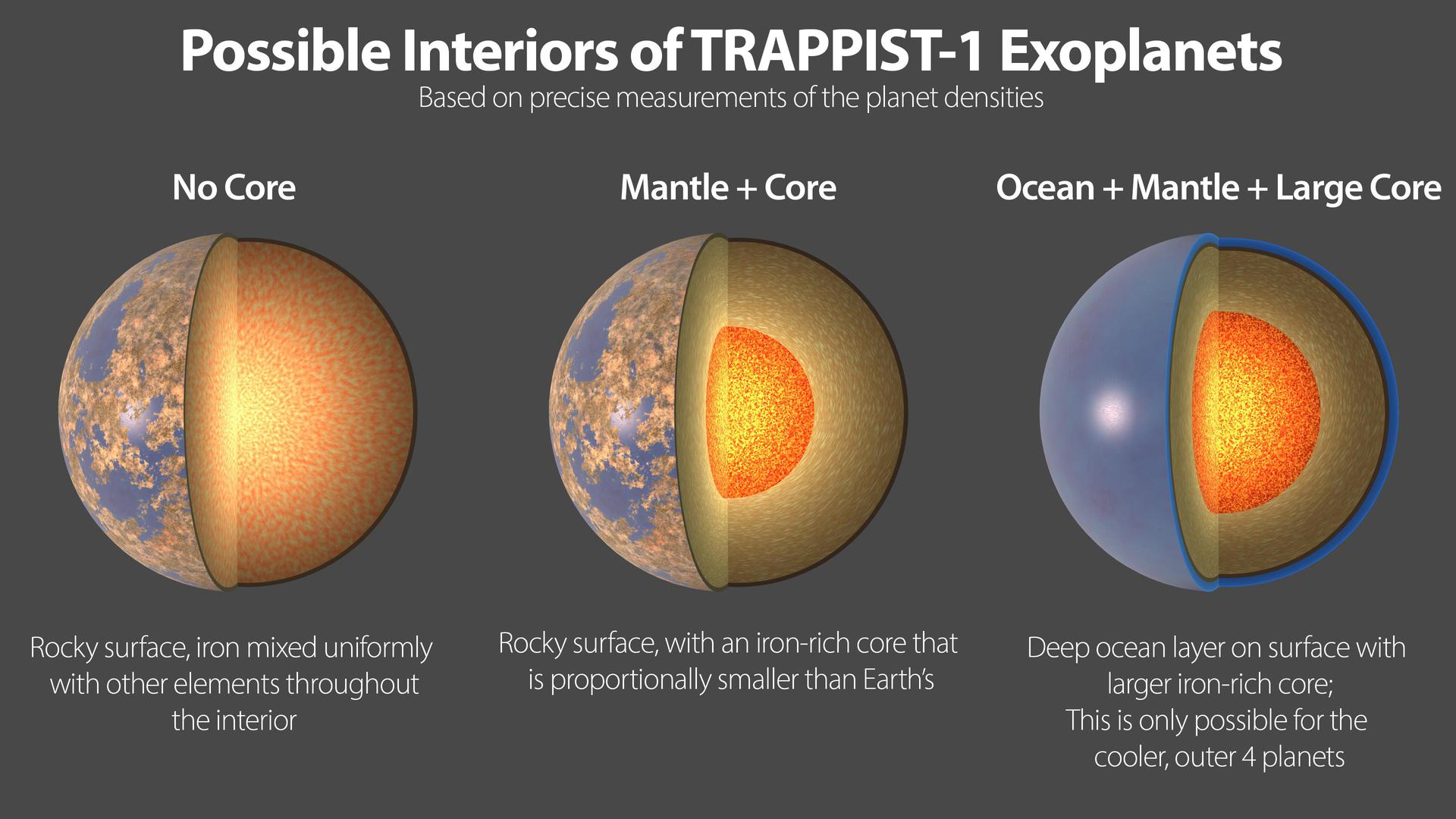 Three possible interiors of the TRAPPIST-1 exoplanets. All seven planets have very similar densities, so they likely have a similar compositions.