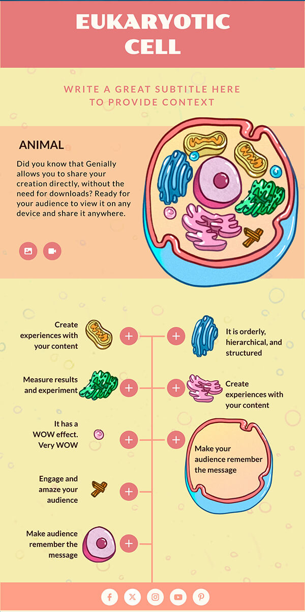 Infografia vertical células