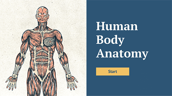 Anatomia do Corpo Humano