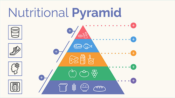 Interactive Pyramide Nutritionnelle template