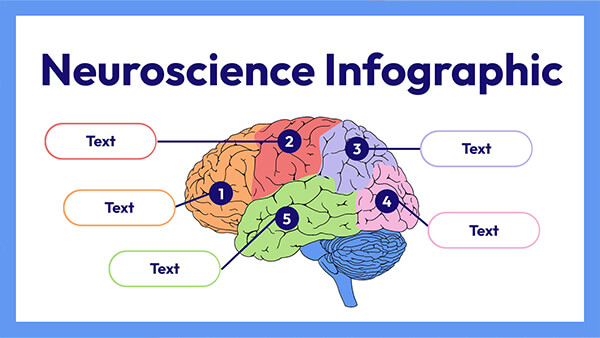 Infografia Neurociência