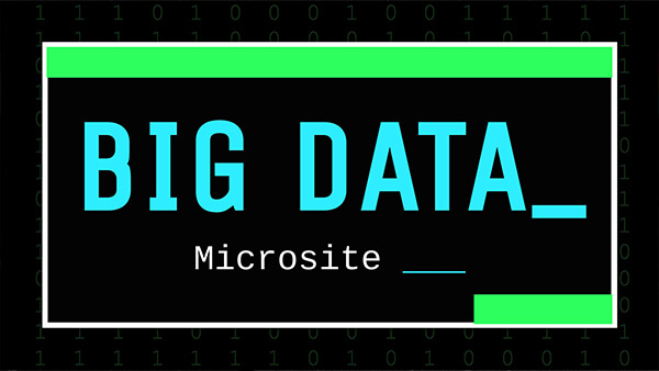 Microsite Big Data