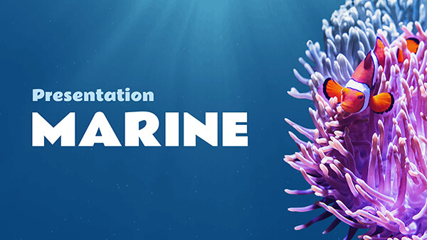 Présentation Marine