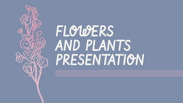 Présentation fleurs et plantes