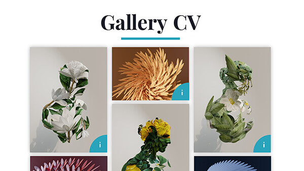 Gallery CV