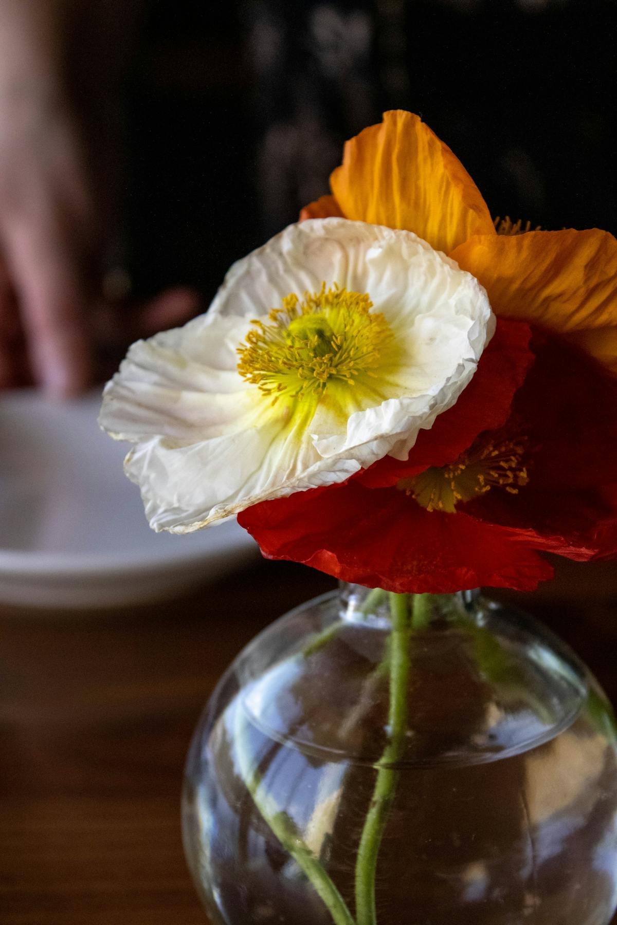 a vase of flowers on a table