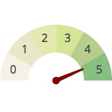 Gauge Chart