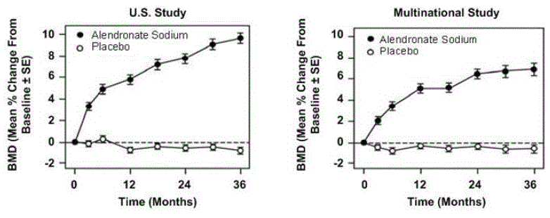 Osteoporosis Treatment in Studies in
Postmenopausal Women Time Course Effect of Alendronate Sodium 10 mg/day Versus
Placebo: Lumbar Spine BMD Percent Change From Baseline - Illustration