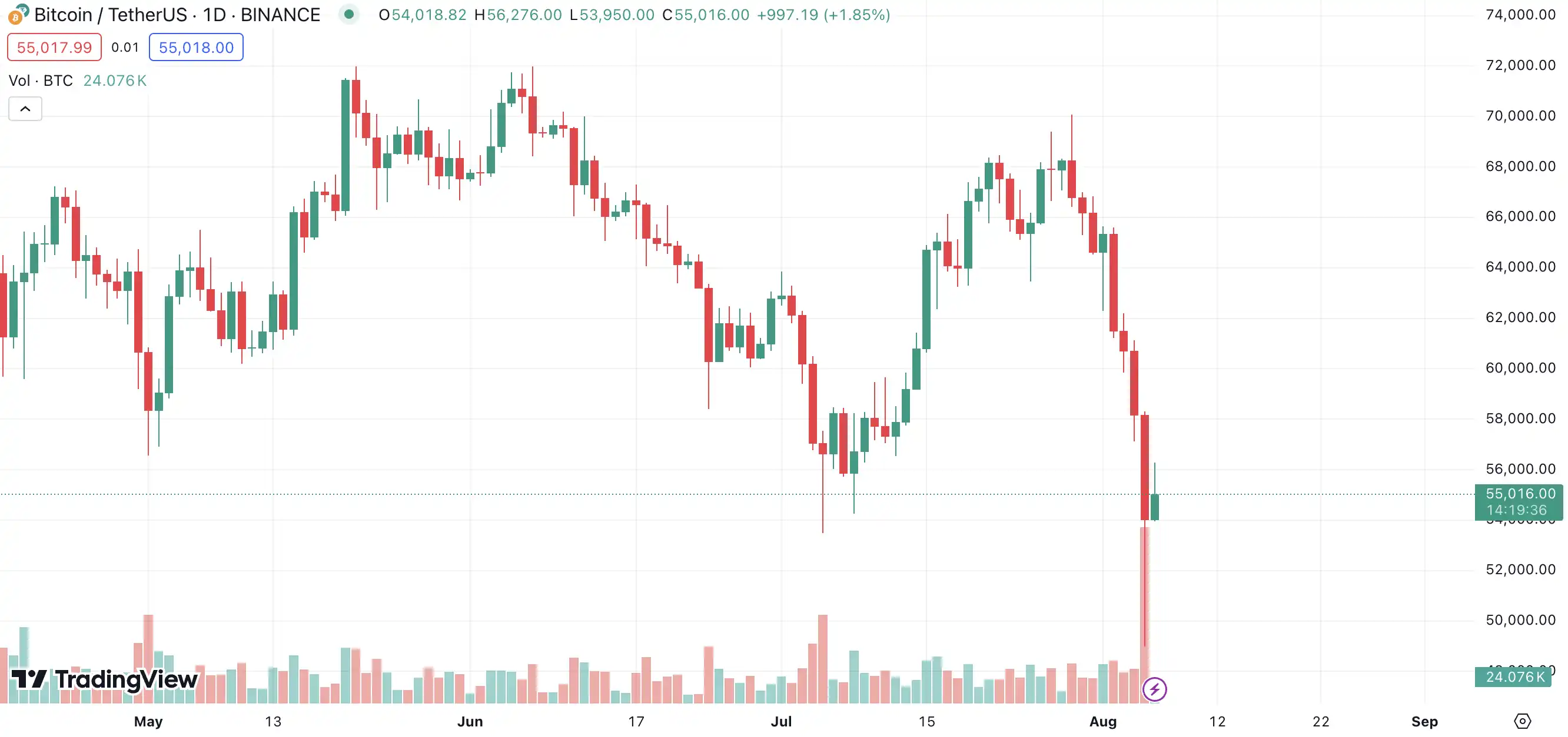 After the 8·5 violent fall, what did the big players catch the bottom?