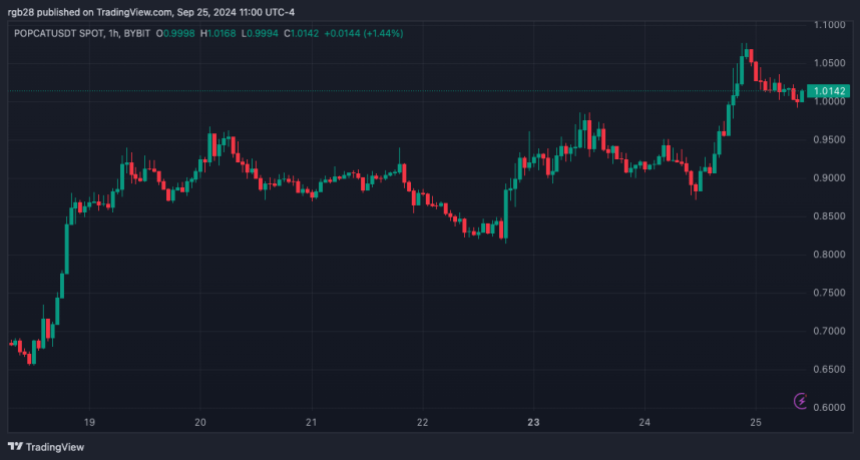 模因幣熱潮Popcat漲至歷史最高點$1後再創新高