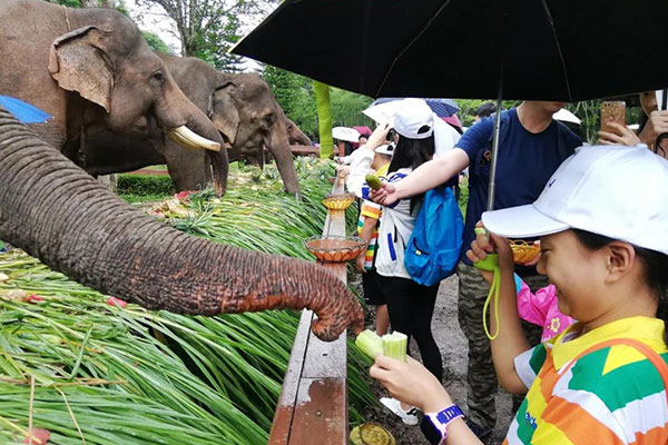 昆明小学生夏令营有哪几家？报名必看