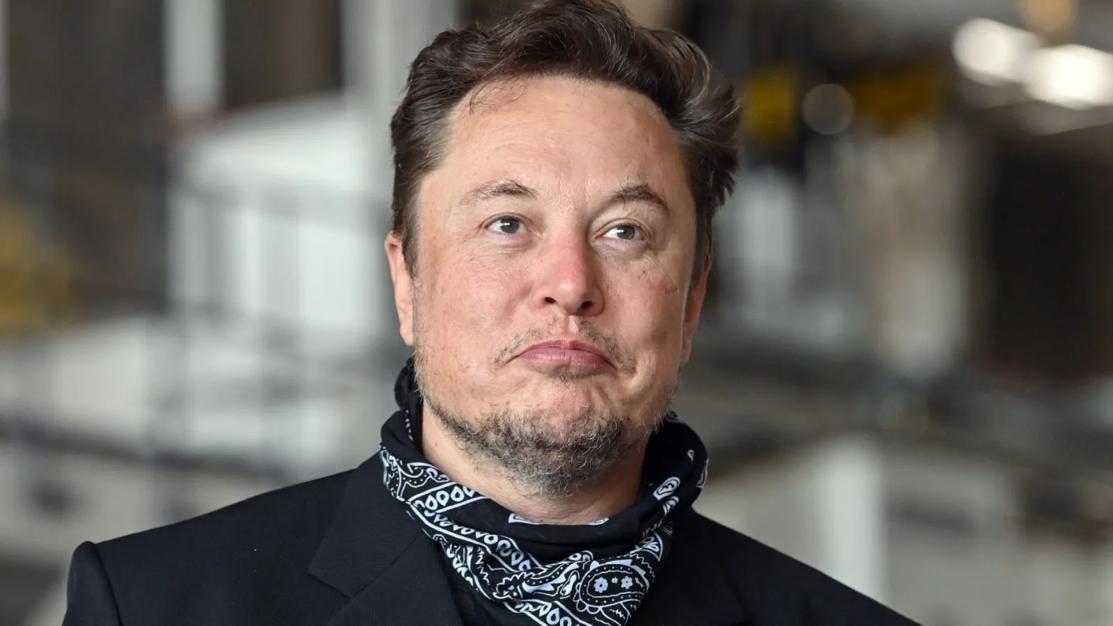 Elon Musk. Image: Shutterstock