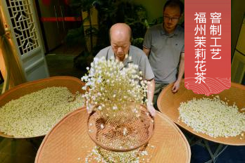 福州茉莉花茶窨制工艺