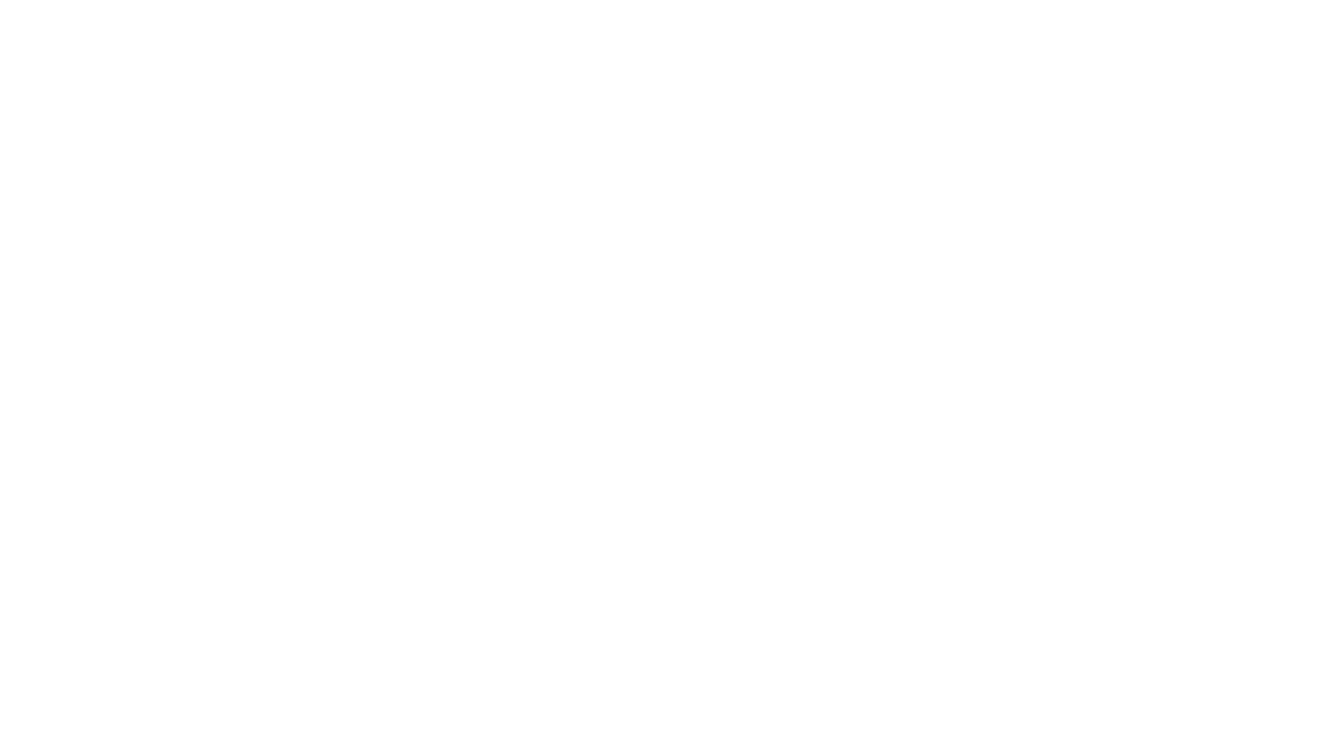 PAPU 2