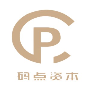 山东码点投资管理有限公司logo