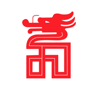 大华(集团)有限公司