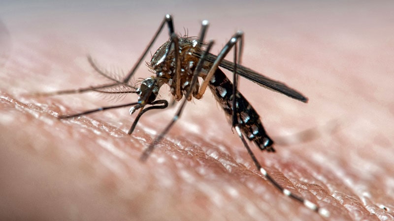 States Take Action Against Eastern Equine Encephalitis