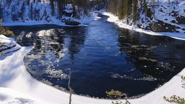 Winter in the Oulanka National Park in Finland