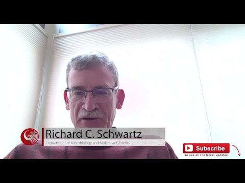 interview - Interview with Dr. Richard C. Schwartz from Michigan State University