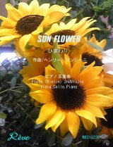 ҤޤSun Flower