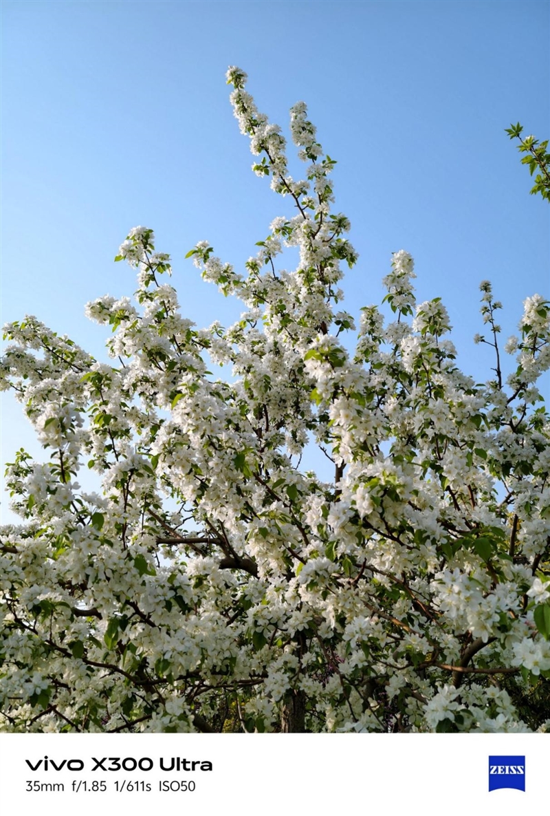 14-400mm终极全焦段!vivo X300 Ultra手机全面评测:依然是年度影像机皇