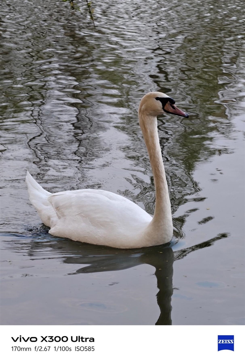 14-400mm终极全焦段!vivo X300 Ultra手机全面评测:依然是年度影像机皇