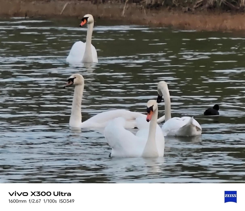 14-400mm终极全焦段!vivo X300 Ultra手机全面评测:依然是年度影像机皇