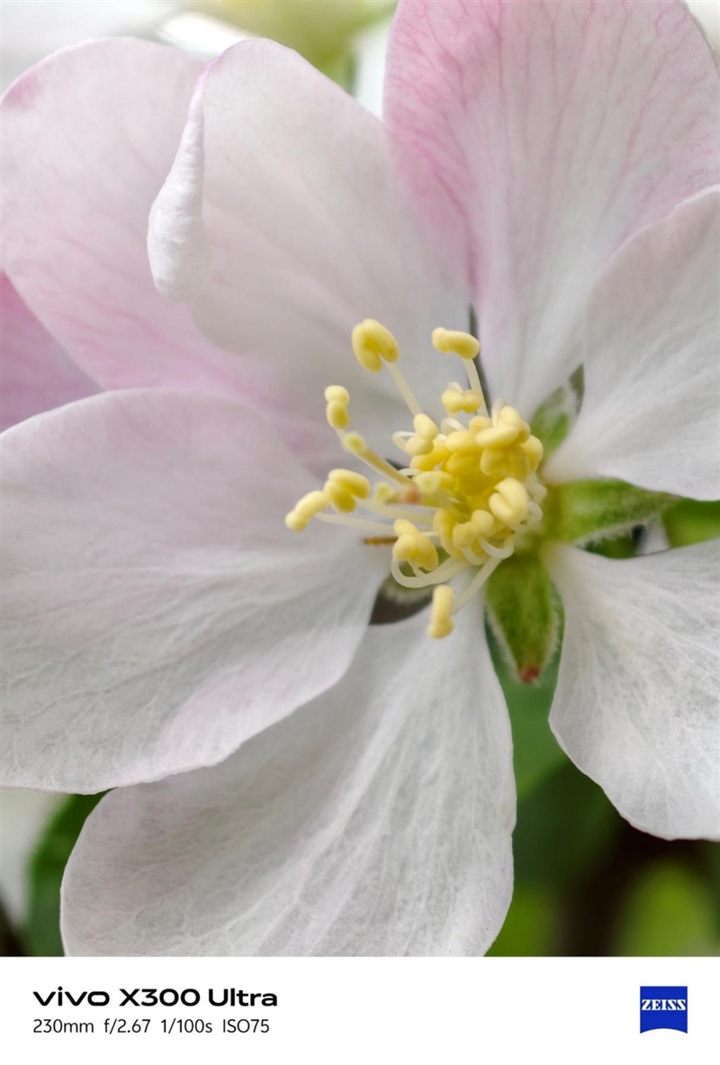 14-400mm终极全焦段!vivo X300 Ultra手机全面评测:依然是年度影像机皇