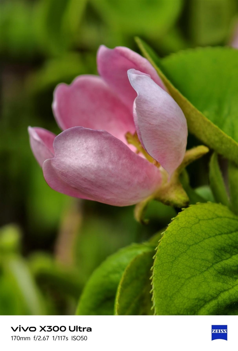 14-400mm终极全焦段!vivo X300 Ultra手机全面评测:依然是年度影像机皇