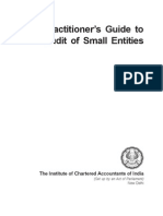 Practitioner's Guide To Audit of Small Entities