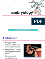 Ana&Physio 16 - Human Development