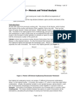 Meiosis and Tetrad Analysis