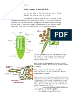 Active Transport in Root Hair Cells