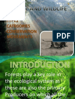 Geography Forest and Wildlife