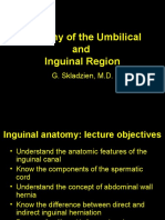 2anatomy of The Inguinal Region