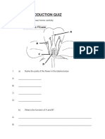 Plant Reproduction Quiz