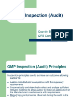 GMP Audit Inspections and Audit Preparations