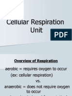 Cellular Respiration 1
