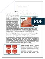 Practica #4 Umbral de Detección I. Objetivo