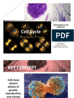  Cell Cycle