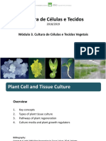 CCT Module 3 01 PDF