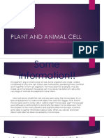 Plant and Animal Cell: - Powerpoint Presentation of Group 1